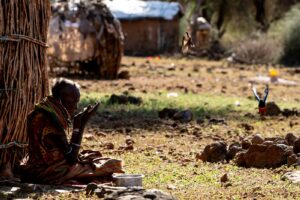 733 milioni di persone affamate: “Fame zero nel 2030 forse irragiungibile”